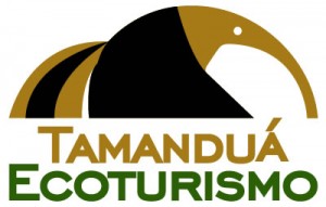 tamandua-ecoturismo