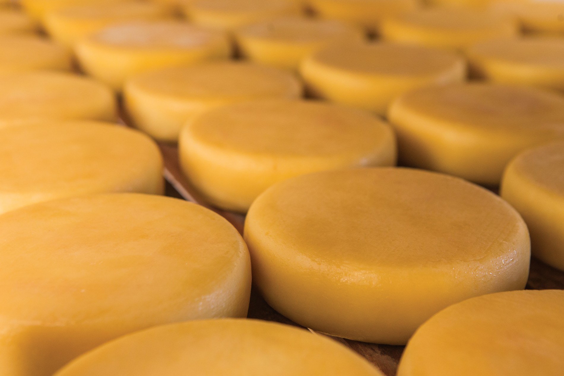 Terra do queijo artesanal, Serra da Canastra vai ganhar marca especial de café